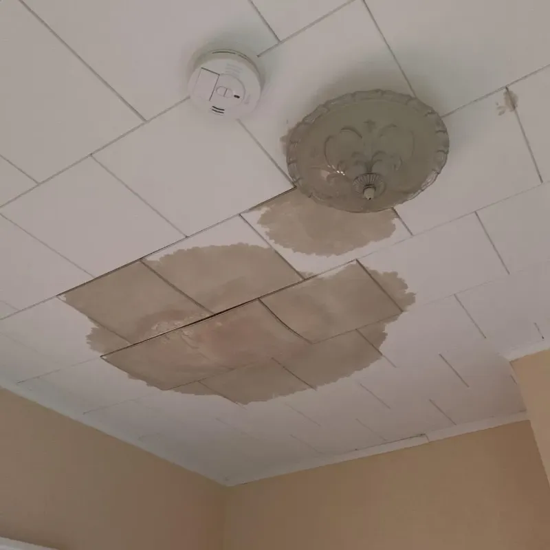 Ceiling Water Damage Repair in Corrigan, TX
