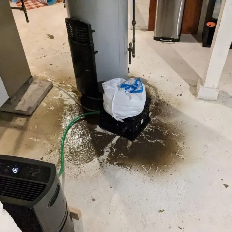 Sewage Backup Cleanup Service in Corrigan, TX
